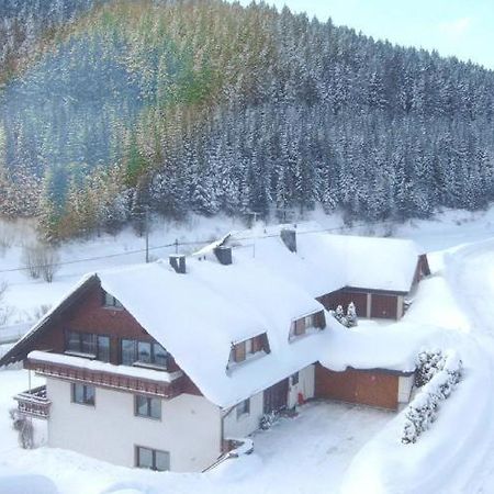 Ferienwohnung-Nr-1 Vöhrenbach Dış mekan fotoğraf